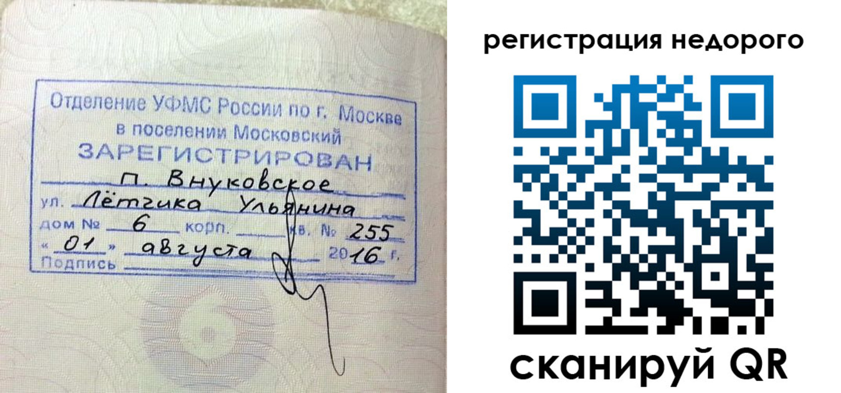прописка в квартире в Курской области