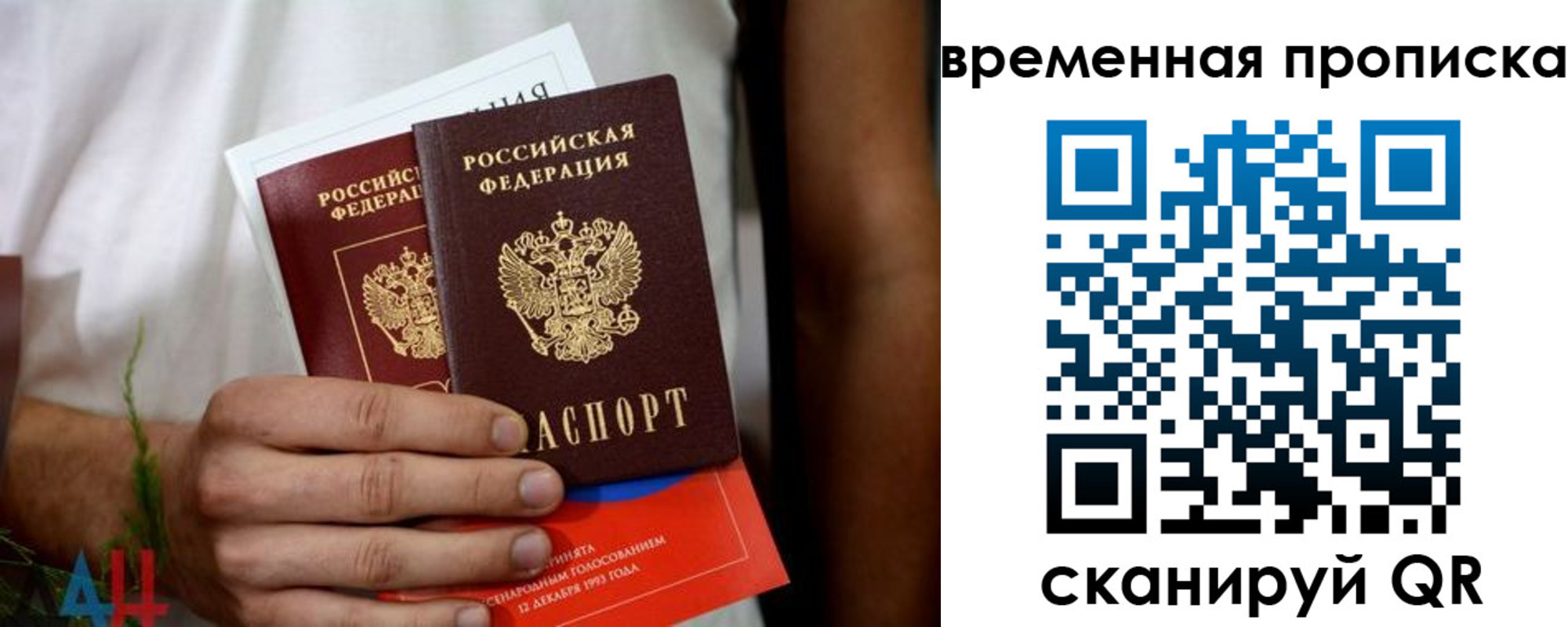 миграционный учет в Курской области